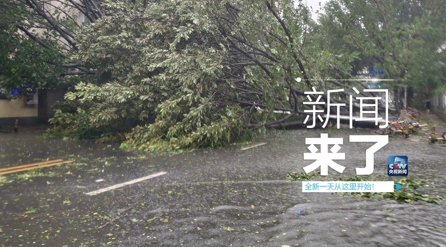 “山竹”怒過，高空塔吊你還好嗎？
